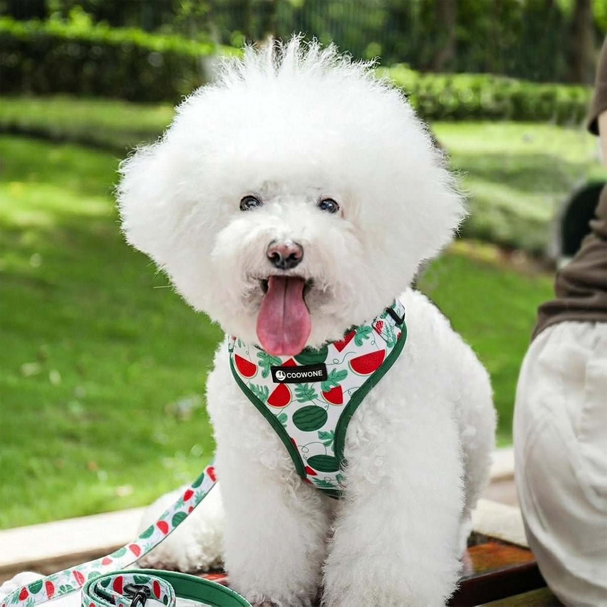 Dog Harness and Leash Set, Adjustable Dog Harness, Dog Leash - Green Watermelon / L(Chest 18.5 - 27.1", Neck 14.5 - 20.1") - image 3