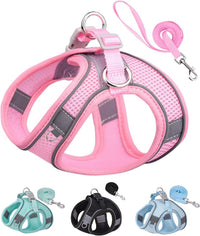 Solmoony Dog Harness, No Pull, Mesh for Small Medium Dogs - Pink / S