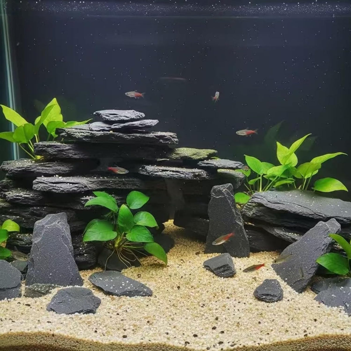 Aquarium Rock Natural Slate Rocks 2 to 4 inch Aquariums Stone - 10lb(2-7'') - image 4