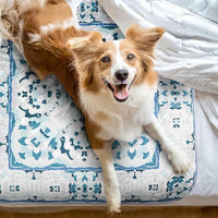 NALALAS Large Washable Pee Pads for Dogs | Reusable, Waterproof & Ultra Absorbent Puppy Pads | Dog Pee Pads, Anti-Slip, Leakproof & Quick Dry Pet Training Mat | Whelping Pad, Puppy Mat & Crate Pad