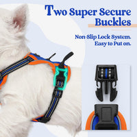 rabbitgoo Dog Harness, No Pull for Large Dogs with 2 Leash Clips - X-Small / Blue & Orange - image 3