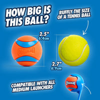 Chuckit! EcoFetch Dog Ball Launcher 18" with Medium 2.5" Ball - EcoFetch - image 4