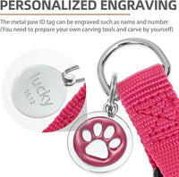 PUPTECK No Pull Dog Harness Soft Adjustable Basic Nylon Step in Puppy Vest Outdoor Walking with ID Tag and A-ir Tag Case, Hot Pink, L