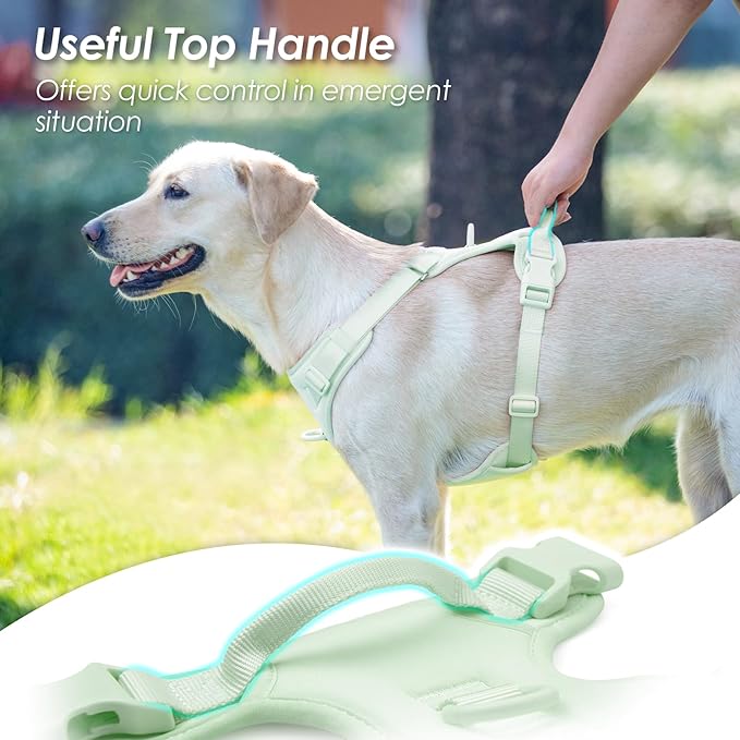 No Pull Dog Harness, Puppy Vest with Front Clip for Small Medium Large Sized Dog(Light Green,M)