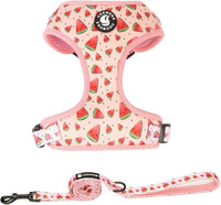 Dog Cat Harness and Leash Set - watermelon / L (Neck 15.7"-21"; Chest 19.6"-28.3")