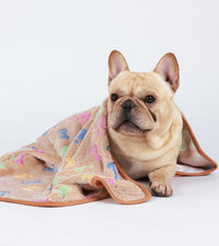 Luciphia 1 Pack 3 Blankets Fluffy Premium Fleece Pet Blanket Flannel - 41x31 inch (Pack of 3) / Pink/Brown/Purple Bone - image 2