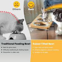 Elevated Cat Bowls, 15° Tilted Cat Food Bowl – Essentials for Cats - image 4
