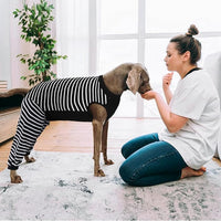 Kuoser Dog Recovery Suit, Anti Licking Dogs Rear Leg Sleeve, Abdominal Dog Surgical Suit with Pants Cover Protect Wounds, Dogs Elbow Protector Soft Pet Surgery Onesie Cone Alternative, Black 3XL