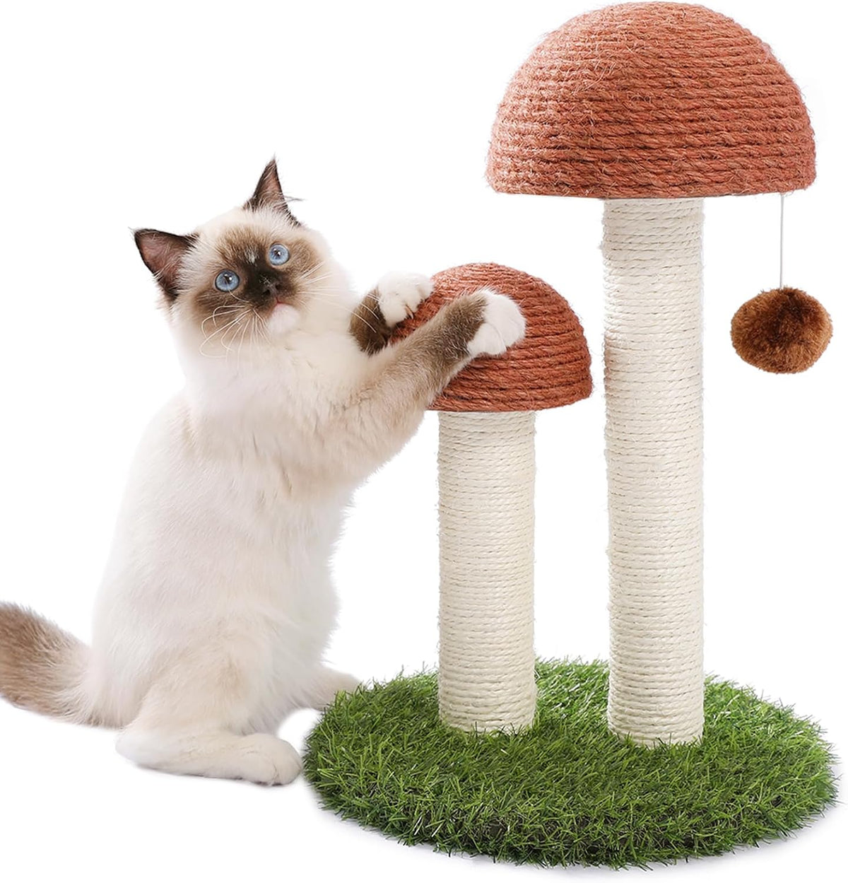 PETEPELA Mushroom Cat Scratching Post for Kittens & Small Cats - Mushroom Brown / 18.9"