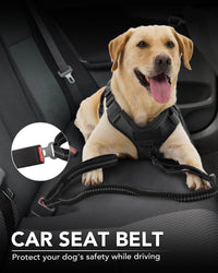 Joytale Tactical Bungee Dog Leash, Shock Absorbing No Pull - Black - image 4