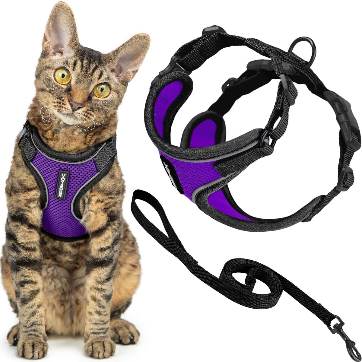 Voyager Escape-Proof Step-in Harness & Leash, Orange - Black Trim-Purple (327) / XXS (Chest: 11.5 - 14")