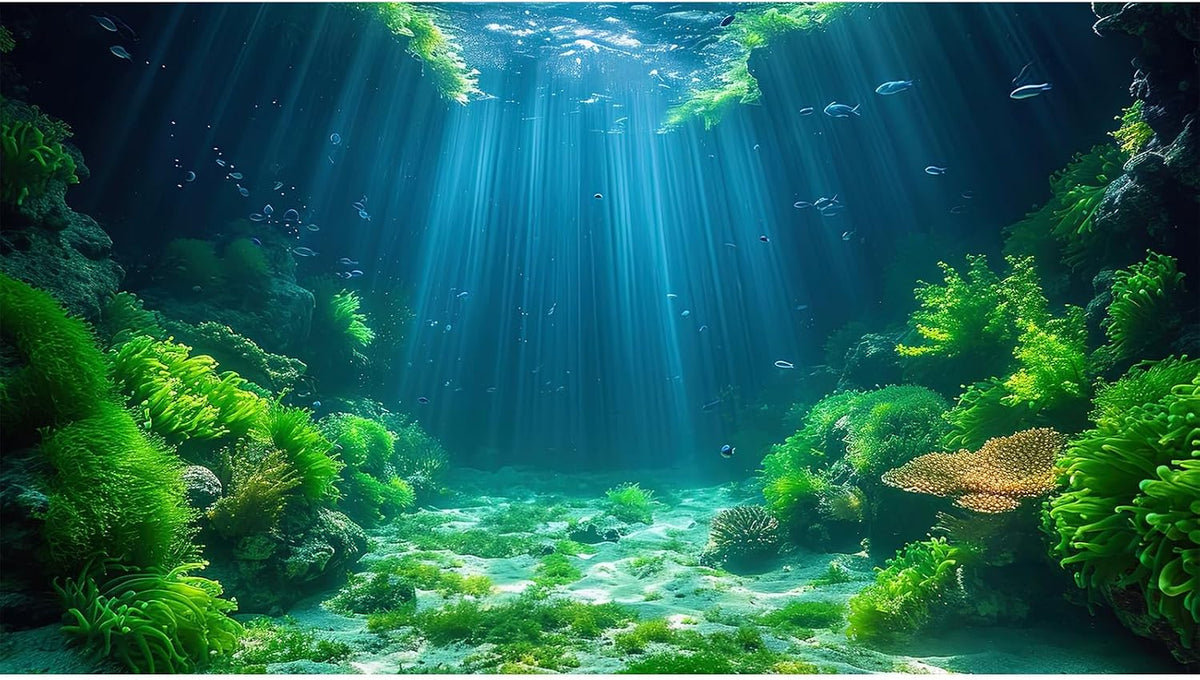 Aquarium background in vinyl showing aquatic plants, 24 by 12 inches, for fish tanks and terrariums