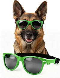Dog Sunglasses for Medium Dogs - Green / Large