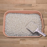 Kitty Litter Box Starter Kit - Small Cat Litter Pan Without Lid, Litter Mat, Scoop and Bowl for Kitten Within 3 Months (PinkScoop Set)