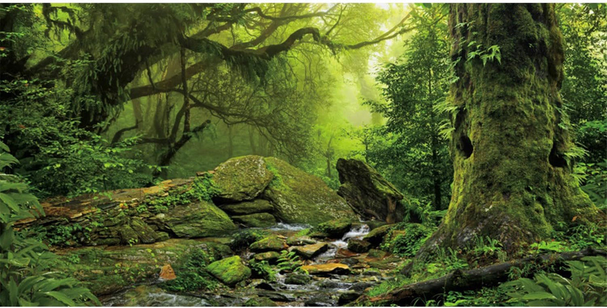 36x20 in Terrarium Backdrop Foggy Forest Stream Reptile Habitat - 72 x 18 inches
