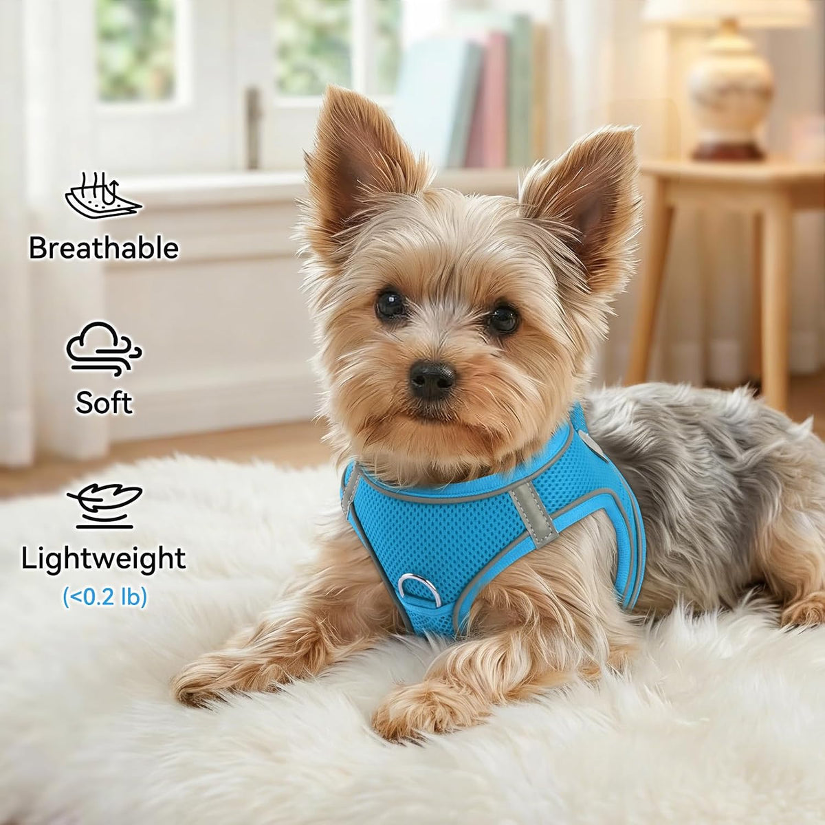 Joytale Step-in Dog Harness, Soft Breathable Mesh, Black S – Essentials for Dogs - M--Chest: 16.5-18.5'' / SkyBlue - image 4
