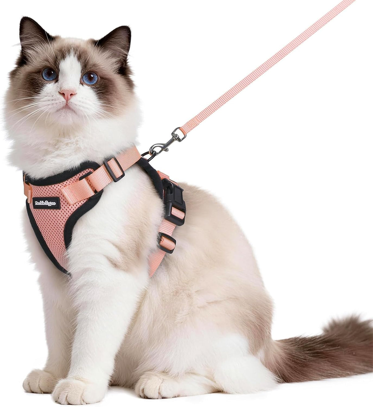 rabbitgoo Cat Harness and Leash Set, Escape Proof Vest - M / Light Salmon Pink