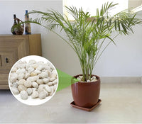 Mr. Fireglass 10lb White River Rocks, 3/8 inch Natural Decorative Polished Pebbles Aquarium Gravel Stones for Landscaping, Indoor Plants, Vase, Succulent, Fish Tank