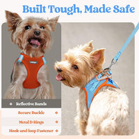 rabbitgoo Dog Harness Small Medium Sized and Leash Set, Step in Soft Light Puppy Vest, Breathable Mesh Pet Harness, Reflective for Safe Easy Walking, Blue & Orange XL