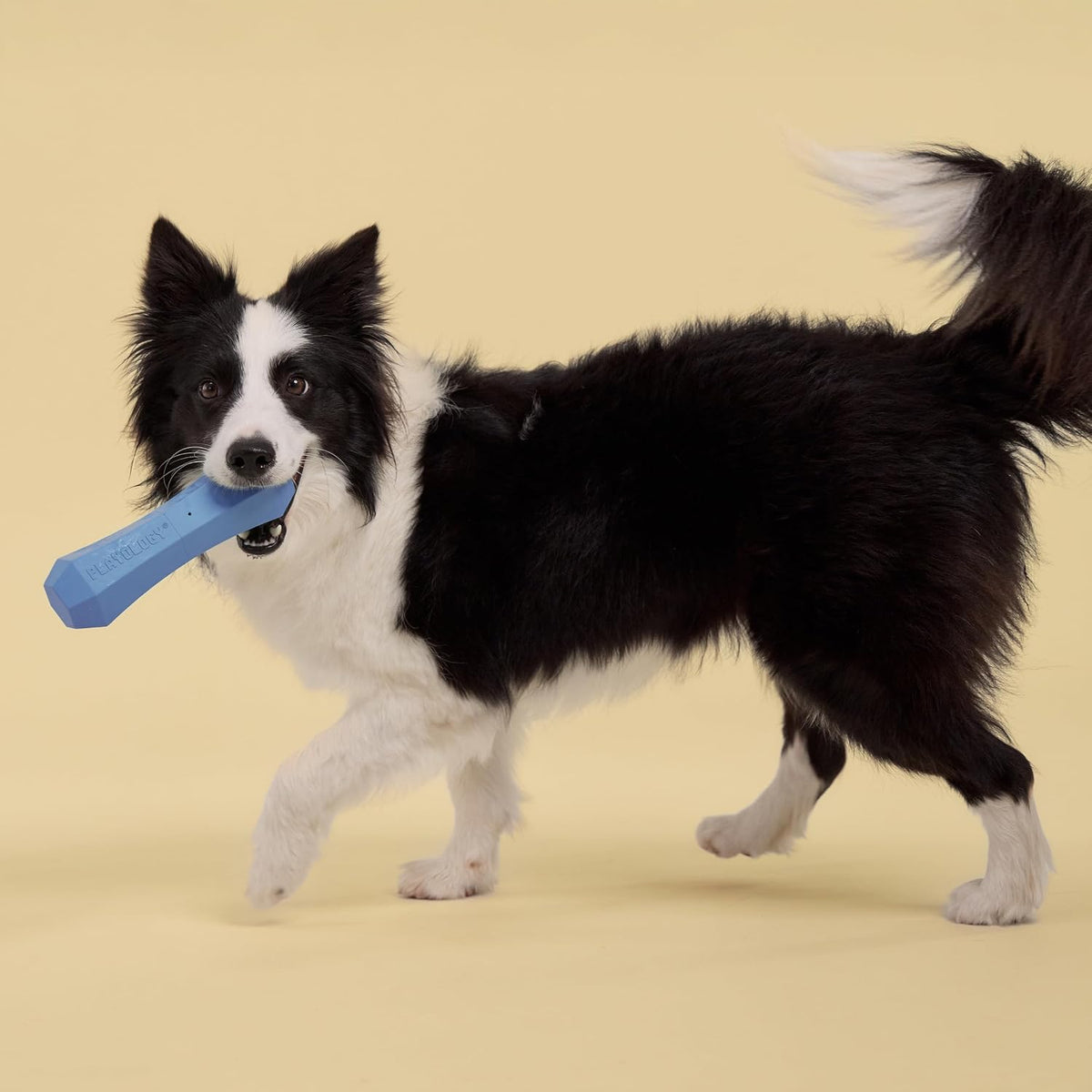 Playology Squeaky Chew Stick Scented Dog Toy - Jumbo / Blueberry - image 3