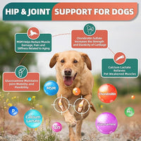 Dog Multivitamin with Glucosamine, Omega 3, Minerals, Probiotics and Enzymes, Dog Vitamins and Supplements for Joint, Skin & Coat Care, Digestive and Immune Health, Chicken Flavor - 120 Chews