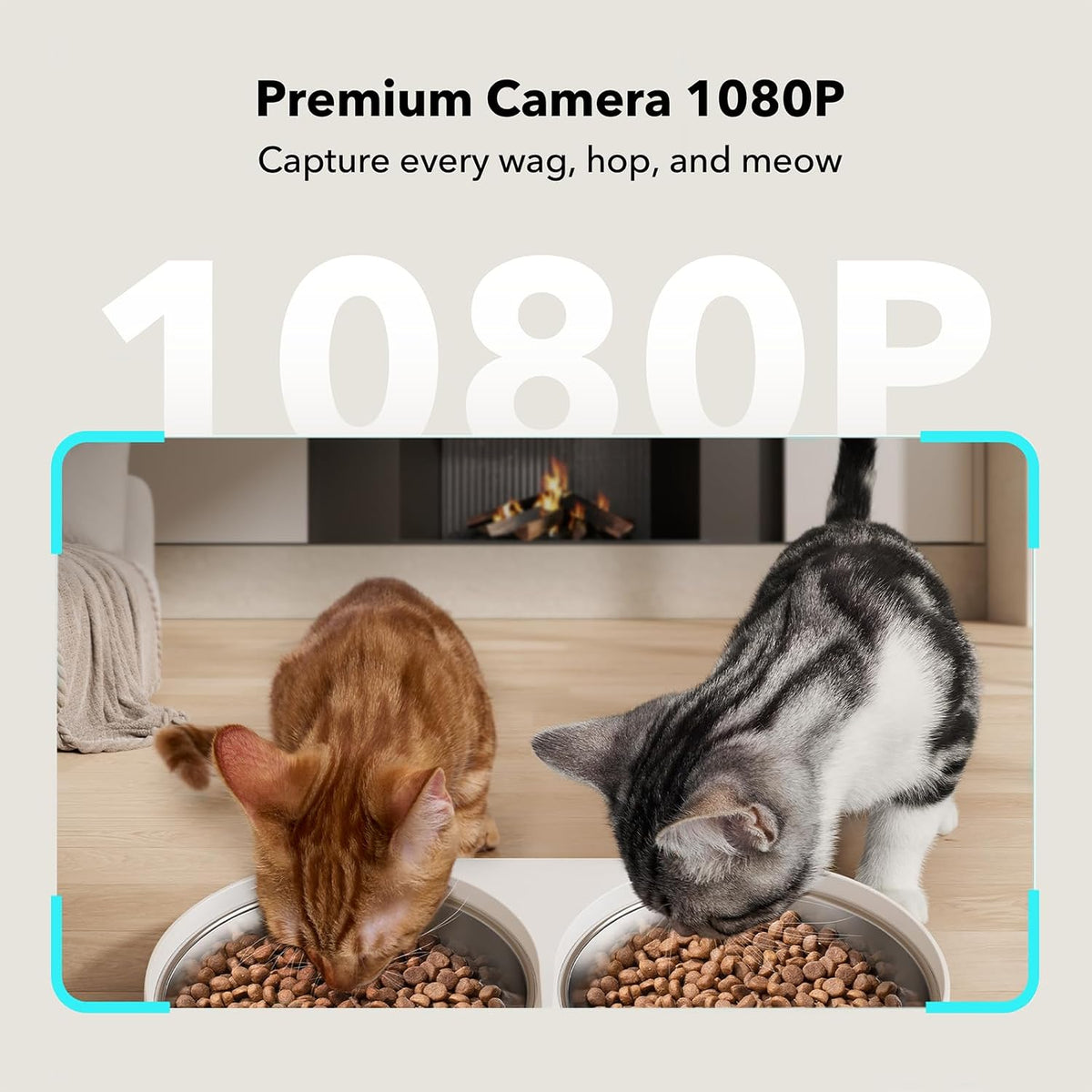 PETLIBRO Automatic Cat Feeder for 2 Cats - White / 5L (With Camera) - image 2