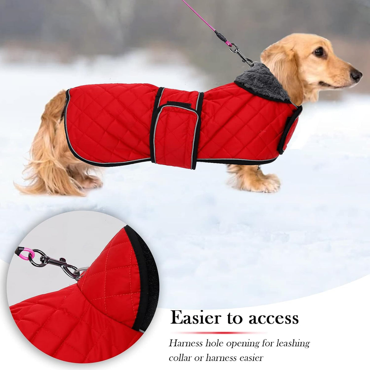 Quilted waterproof windproof dachshund coat with fleece lining and reflective piping - view 4