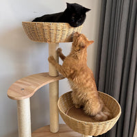 Modern Wood Cat Tree for Large Cats - Large-Oiled1 - image 3
