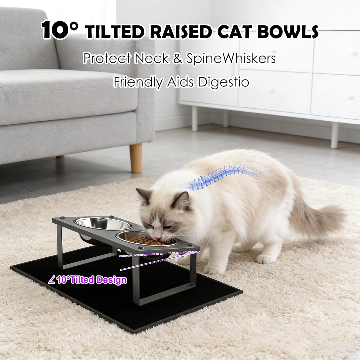 Elevated Cat Bowls with Splash Proof Mat for Kitten Puppy - Silver / 2bowls - image 2