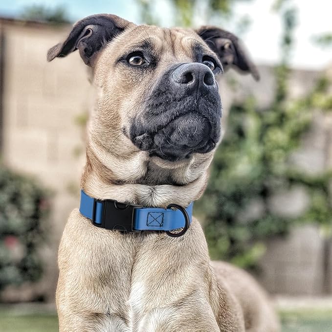Dogline Biothane Waterproof Dog Collar with Quick Release Buckle Strong Coated Nylon Webbing with Odor- Proof for Easy Care Easy to Clean Fits Small Medium or Large Dogs, Dogline Blue 1" W 15-23" L