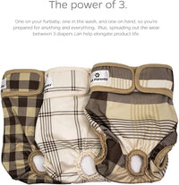 Pet Parents® Washable Dog Diapers (3pack) + Extendrs® of Durable Doggie Diapers, Premium Dog Diapers Female & Male (Medium, Oxford)