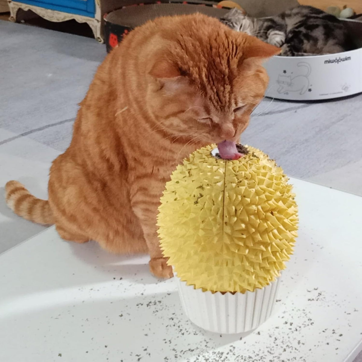 Cat Face Scratcher Wall Corner Massage Comb, Self Grooming Brush – Essentials for Cats - yellow