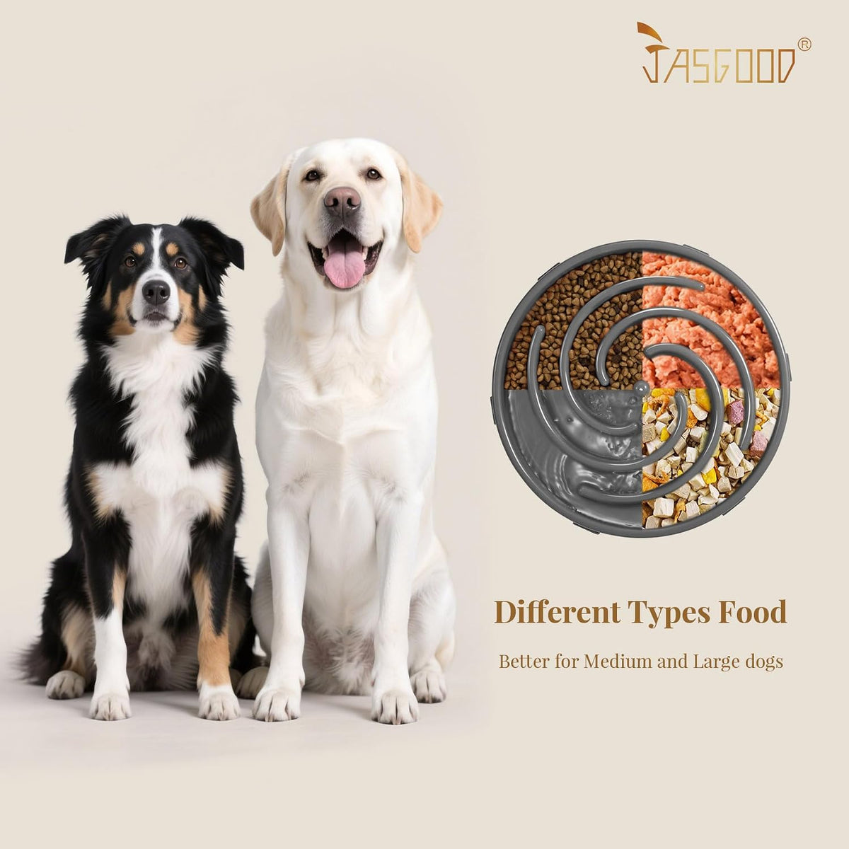 JASGOOD Slow Feeder Dogs Bowl for Large Medium Dogs - Large / C-Dark Grey - image 4