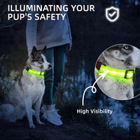 Super Bright LED Dog Collar, Waterproof Light up Collars – Essentials for Dogs - S (Width:0.6",Length:10" - 14.5") / Green - image 4
