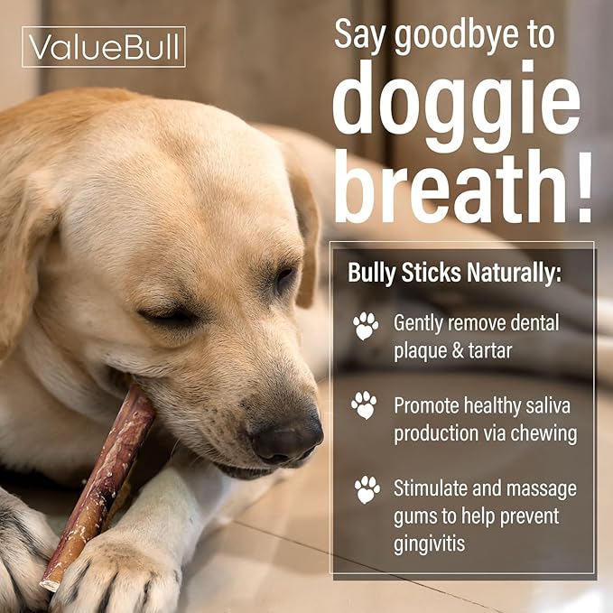ValueBull Bully Sticks for Dogs, Thick 12 Inch, 200 Count Wholesale Pack - All Natural, Grass Fed, Single Ingredient, Long Lasting Dog Treats