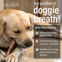 ValueBull Bully Sticks for Dogs, Thick 6 Inch, 400 Count Wholesale Pack - All Natural, Grass Fed, Single Ingredient, Long Lasting Dog Treats