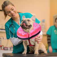 Katoggy Inflatable Dog Cone Collar for Dogs After Surgery, Soft Adjustable Blow up Donut Dog E-Collar for Small Medium Large Dog and Cats,Pink Donut,X-Large
