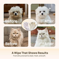 HICC PET Dog Wipes for Dogs & Cats, Glove Design - Verbena Scent / 6 PCS - image 4