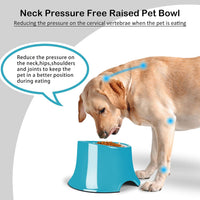Tilted Elevated Dog Bowls Non-Slip & Non-Spill Pet Feeder - M/2 Cup / Grass Blue - image 2