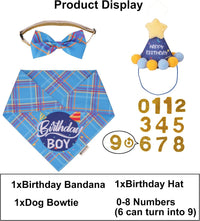 Dog Birthday Hat Bandana Set, Blue Plaid Boy Dog Bandana - Small / Sky Blue Boy - image 3