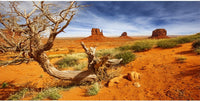 AWERT 36x18 in Terrarium Backdrop Orange Desert Reptile Habitat - 36x20in/90x50cm