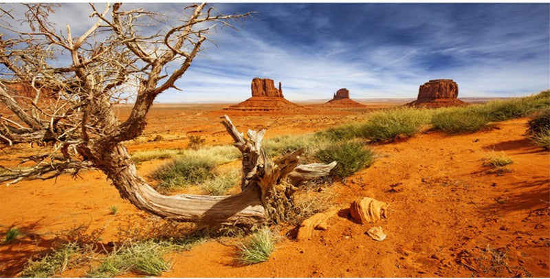 AWERT 36x18 in Terrarium Backdrop Orange Desert Reptile Habitat - 36x20in/90x50cm