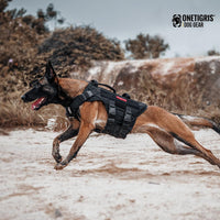 OneTigris Large Tactical Dog Harness No Pull Handle XL Black – Essentials for Dogs - Extra Large / Black - image 3