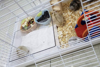 Cumuiu Hamster Sand Bathroom Clear Acrylic Toilet Tray Bathroom - Large - image 3