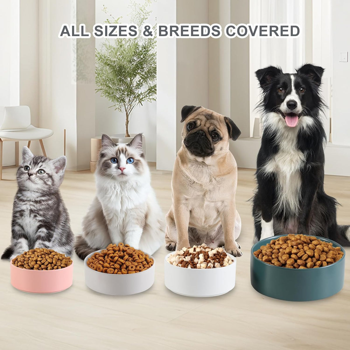 Ceramic Dog Bowl for Food and Water - Medium / Grey - image 3