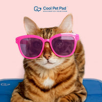 The Green Pet Shop Cool Pet Pad, Self-Cooling - Medium / Blue - image 2