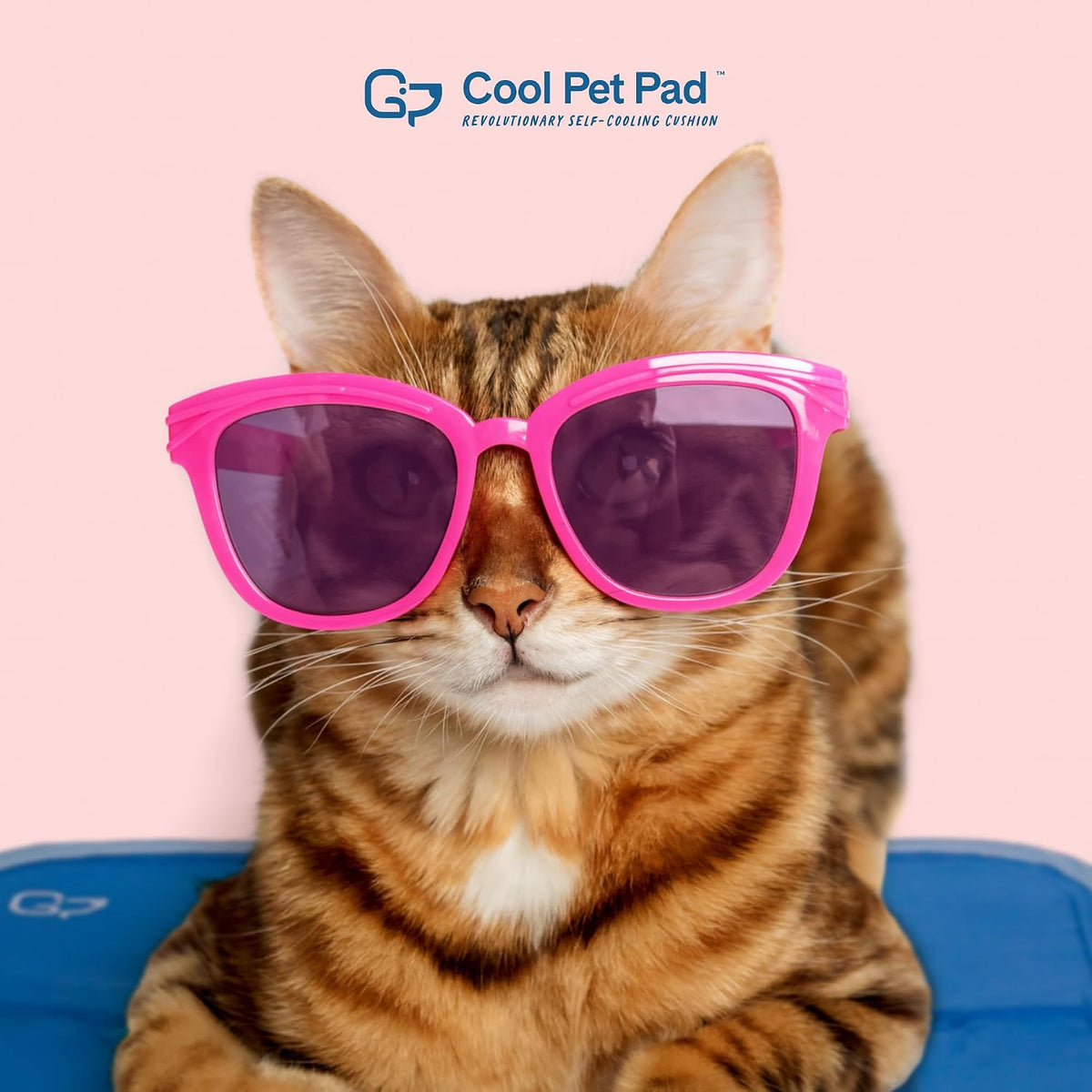The Green Pet Shop Cool Pet Pad, Self-Cooling - Medium / Blue - image 2