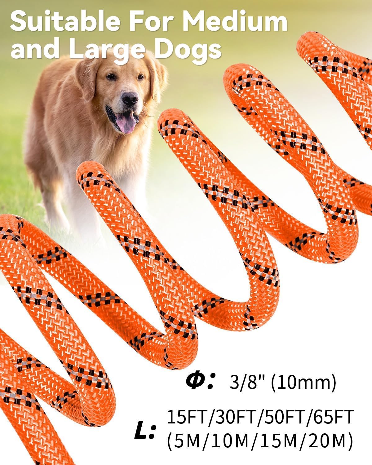 Joytale Long Dog Leash for Yard Tie Out & Recall Training - Orange / 30FT - image 4