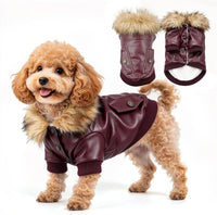 LESYPET Dog Leather Jacket for Small Dogs - Large / Wine Red