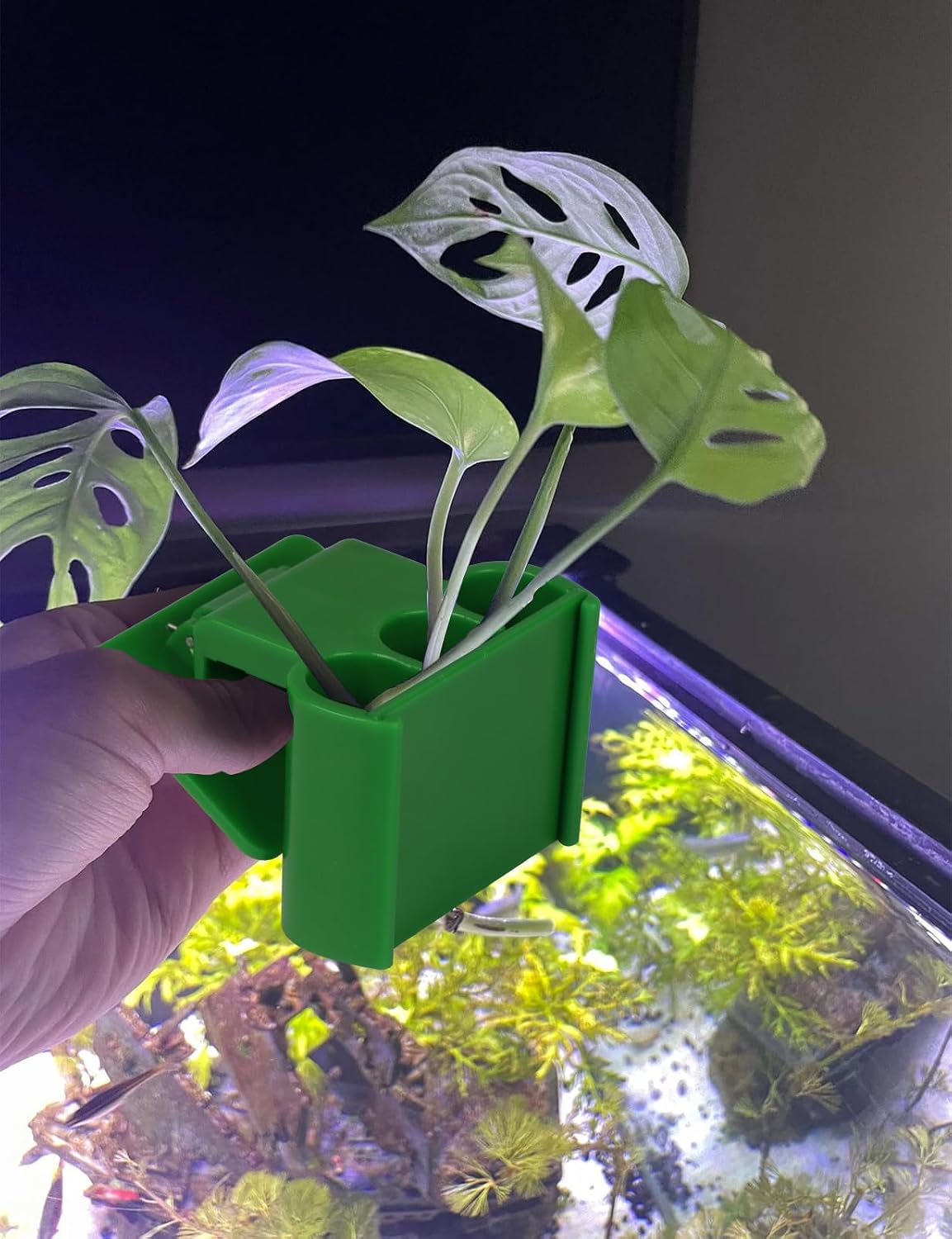 2 Pk Upgraded Aquarium Plant Holder - Green 2 - image 3